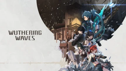 Wuthering Waves Accounts