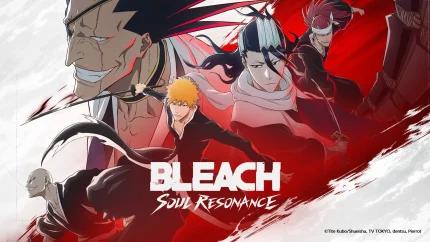 BLEACH Soul Resonance Accounts